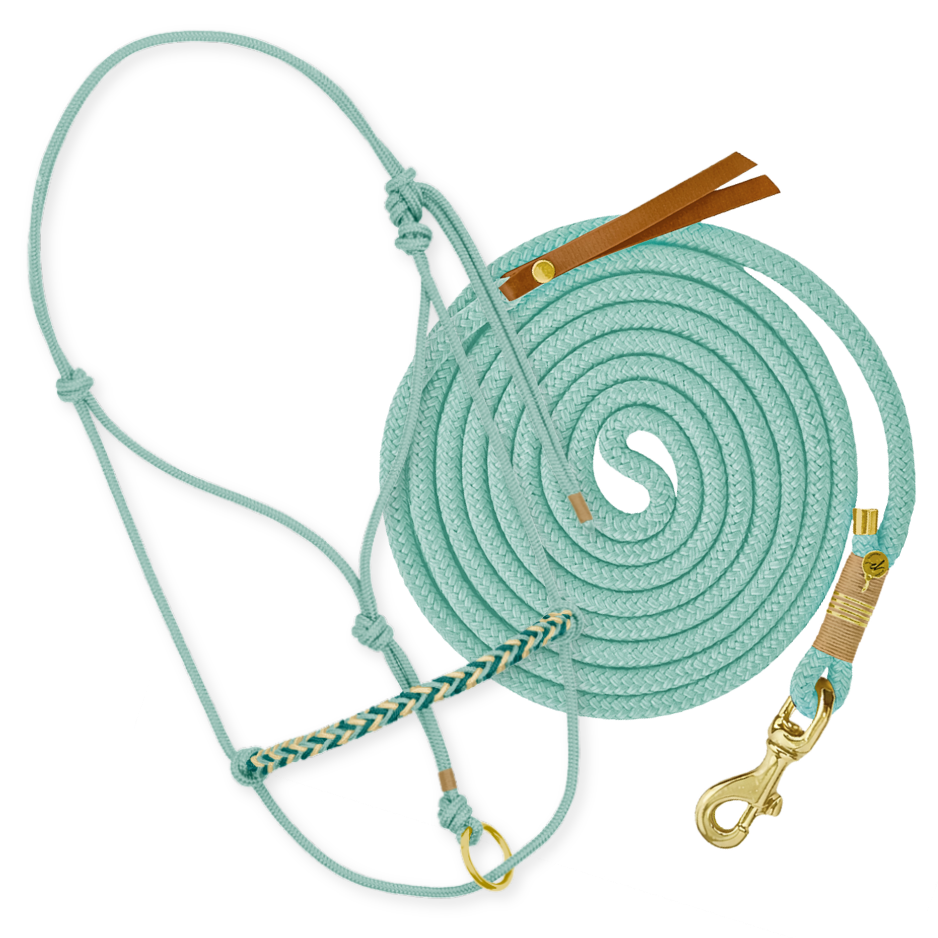 Set "Mint"
