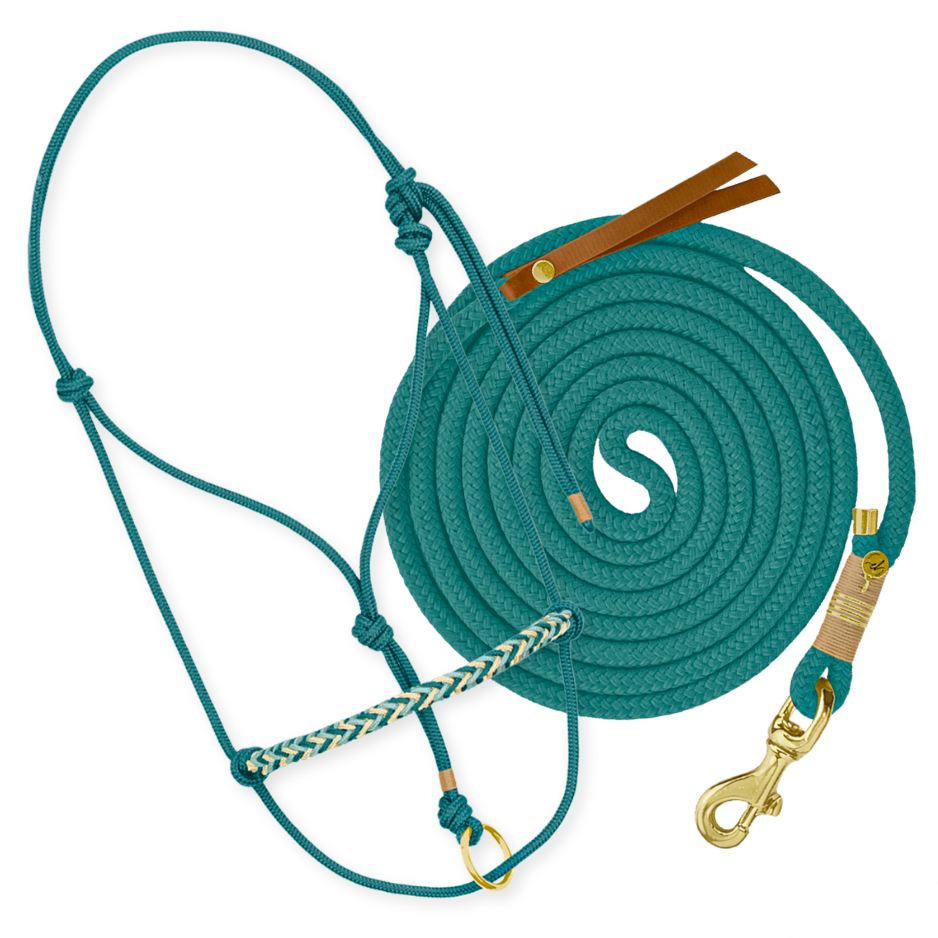 Set "Petrol"
