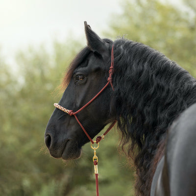 Knotenhalfter "Bordeaux"