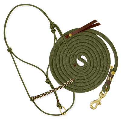 Set "Olive"