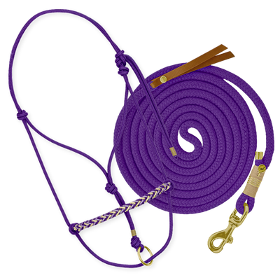 Set "Violett"