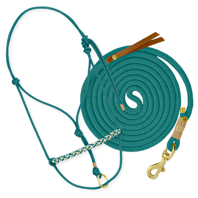 Set "Petrol"